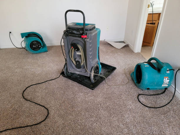 Water damage restoration process in MI