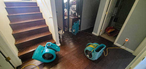 Best Mold removal after water damage  in Escanaba, MI