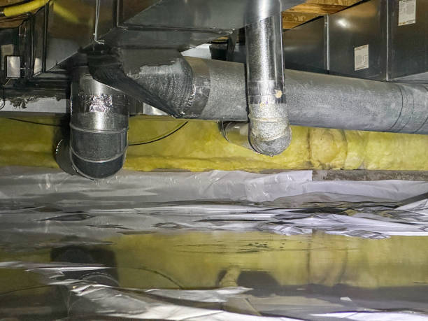 Best Residential water damage restoration  in Escanaba, MI