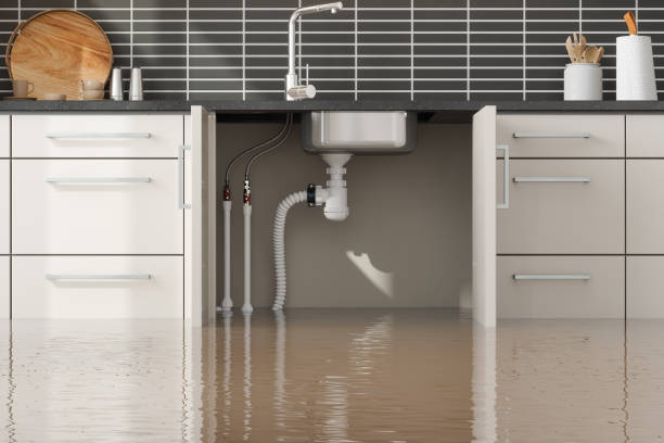  Escanaba, MI Water damage restoration Pros