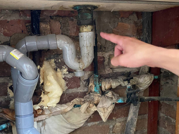 Best Emergency water damage restoration  in Escanaba, MI