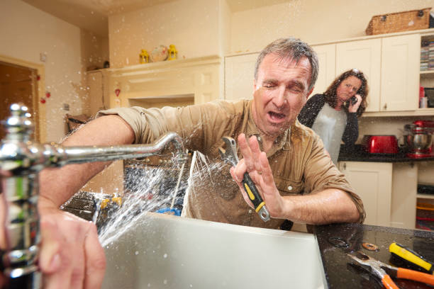  Escanaba, MI Water damage restoration Pros